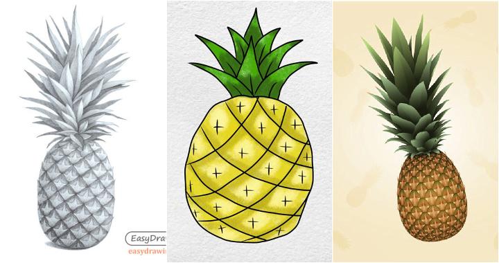 Pineapple Drawing & Sketches for Kids - Kids Art & Craft