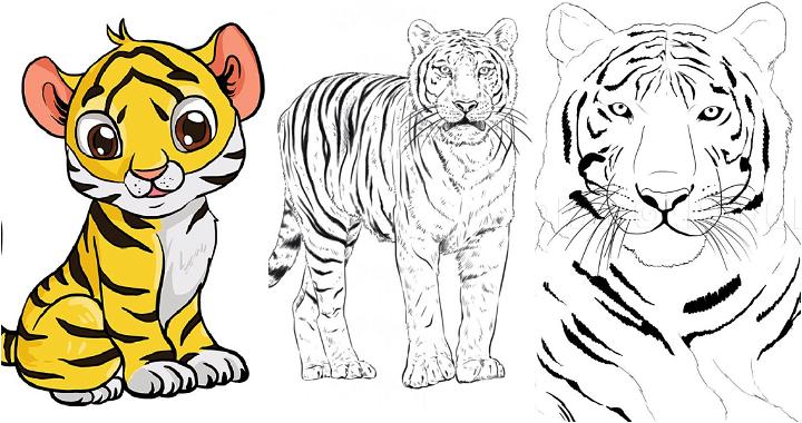 easy tiger drawing ideas and tutorials