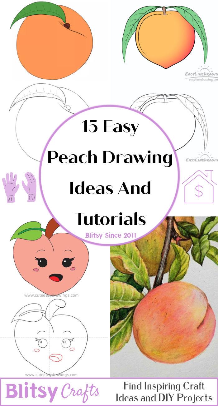 15 Simple Peach Drawing Ideas - How to Draw a Peach