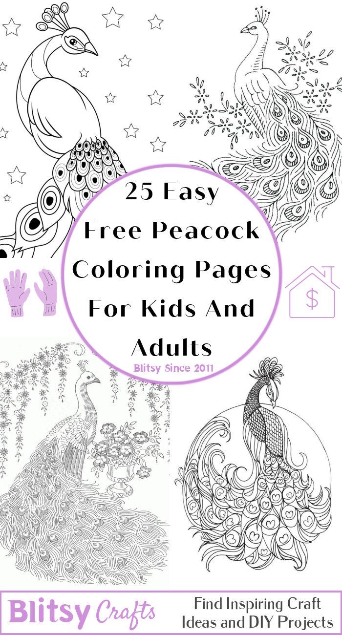 25 Easy Free Peacock Coloring Pages For Kids And Adults