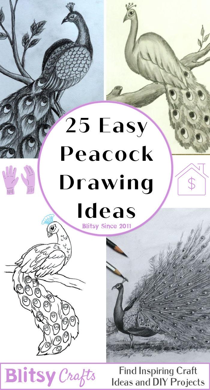 Peacock B&W Pencil Drawing 1 Bird Canvas Print by Featherline - Fy-saigonsouth.com.vn