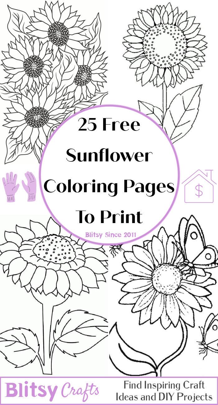 25 Easy and Free Sunflower Coloring Pages for Kids and Adults - Cute Flower Coloring Pictures and Sheets Printable