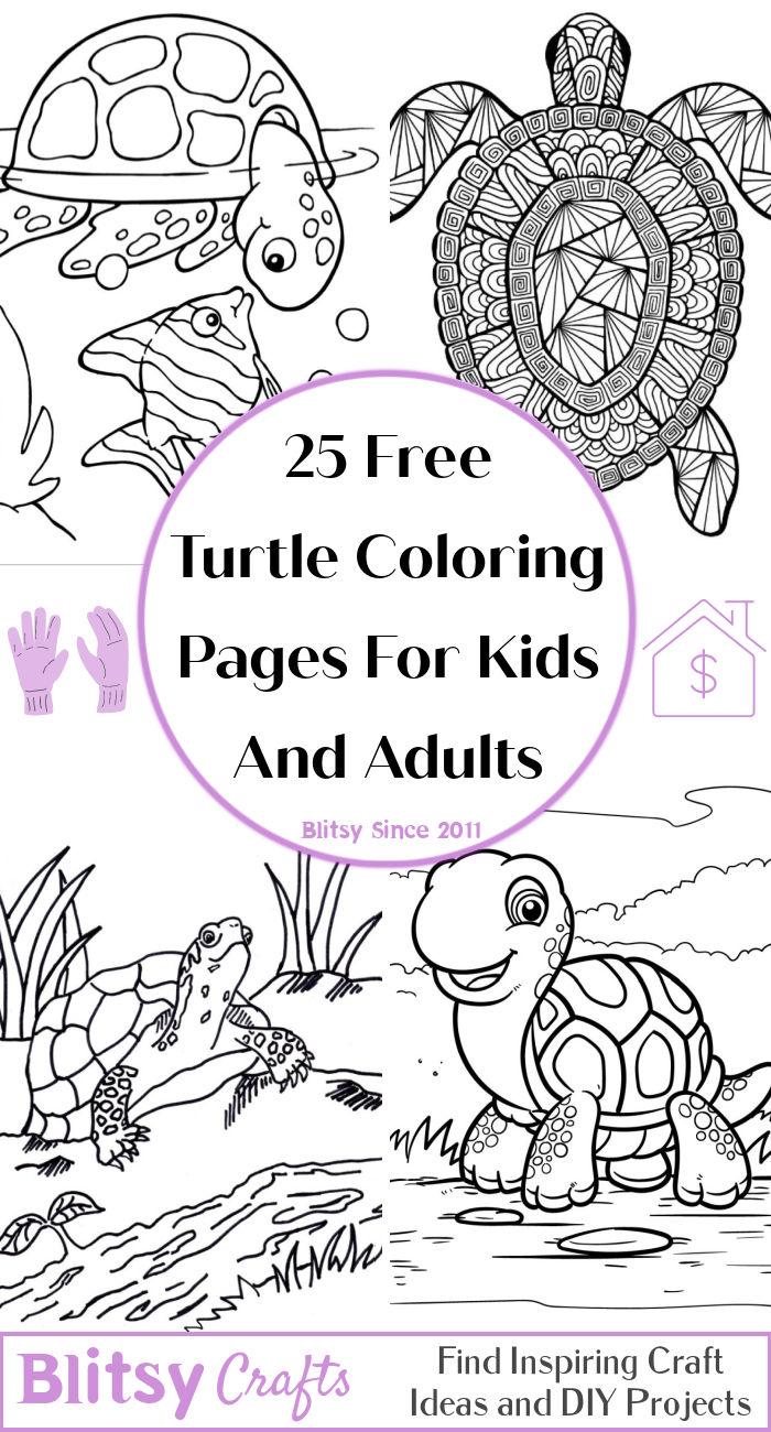 25 Easy and Free Turtle Coloring Pages for Kids and Adults - Cute Turtle Coloring Pictures and Sheets Printable