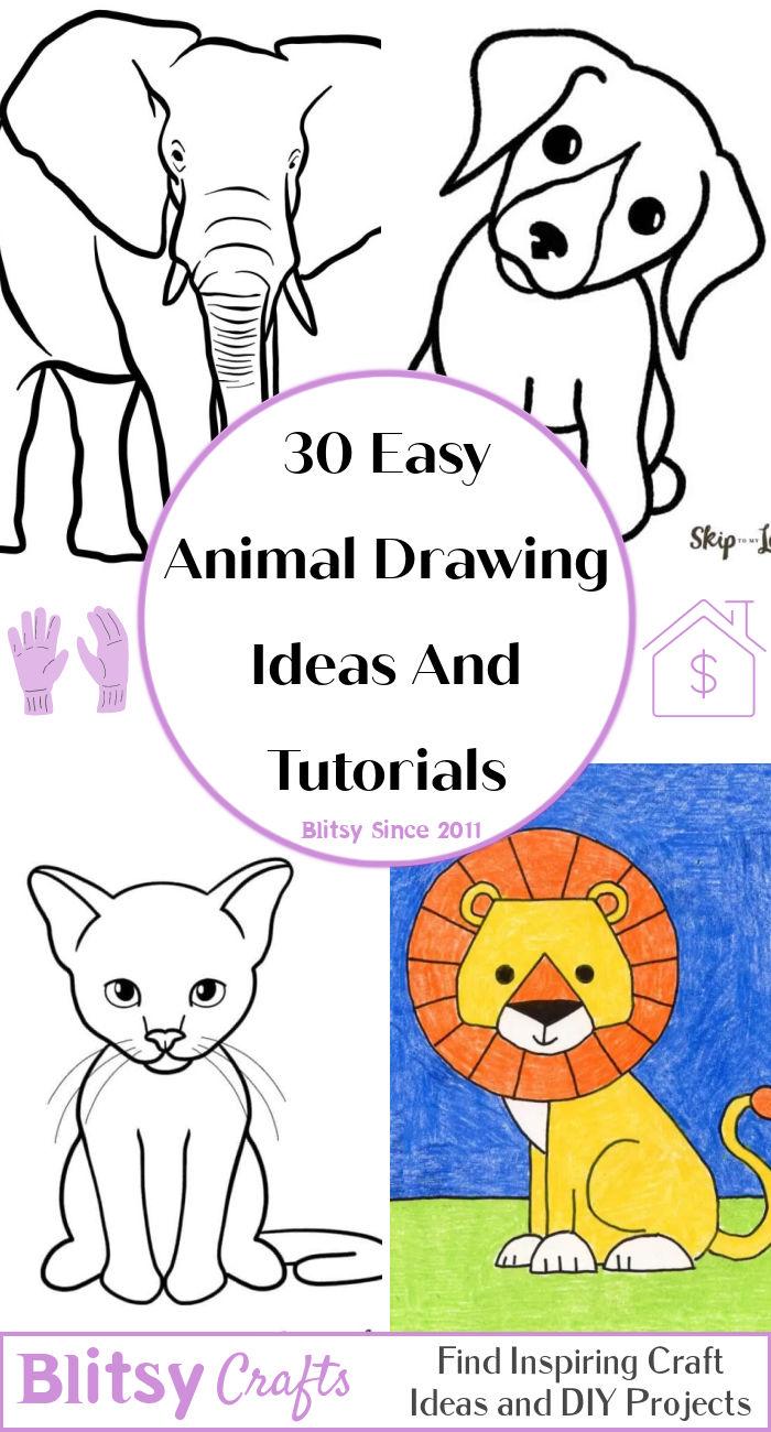 30 cute animal drawings - easy animal drawing ideas