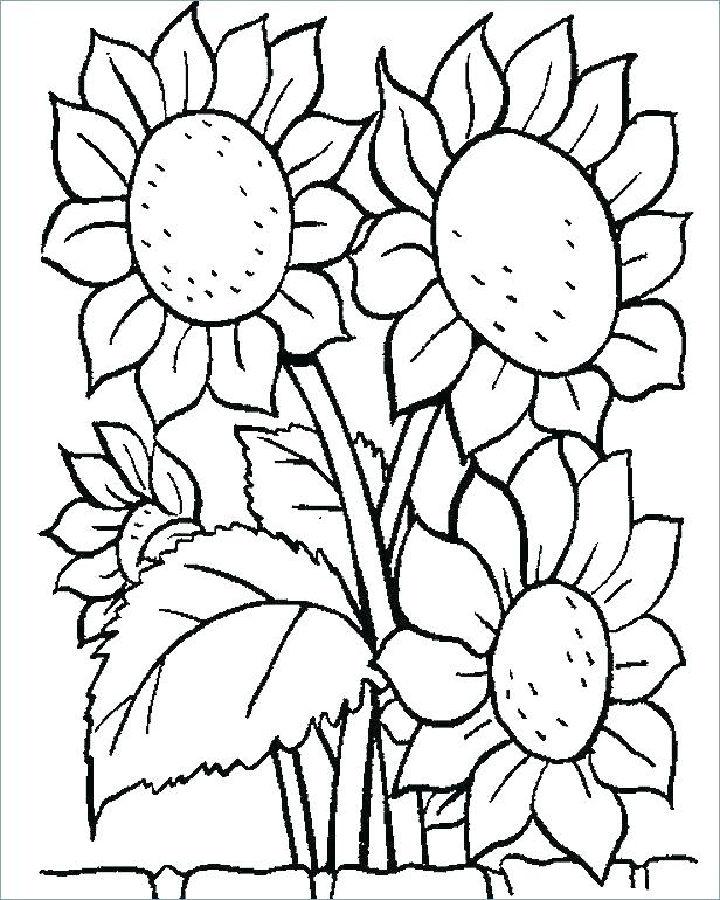 A Bunch of Sunflowers Coloring Page