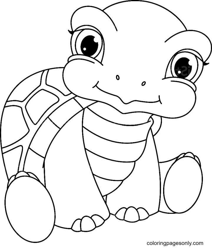 Adorable Baby Turtle Coloring Pages
