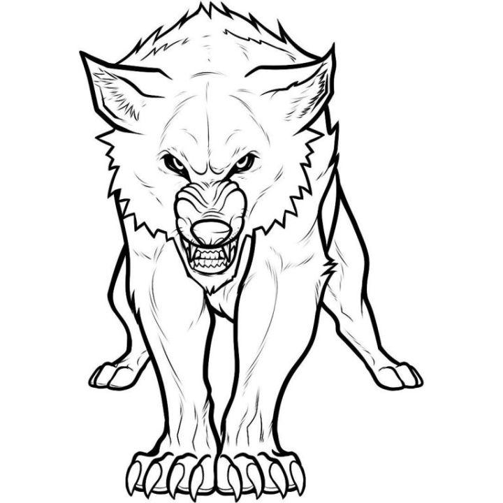 Arctic Wolf Coloring Sheets