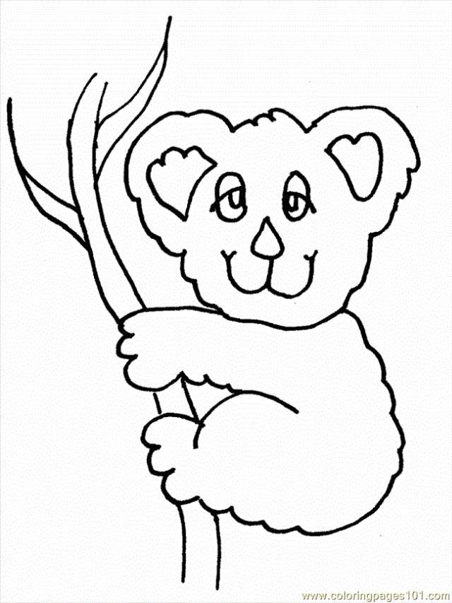 Australia Koala Coloring Page PDF