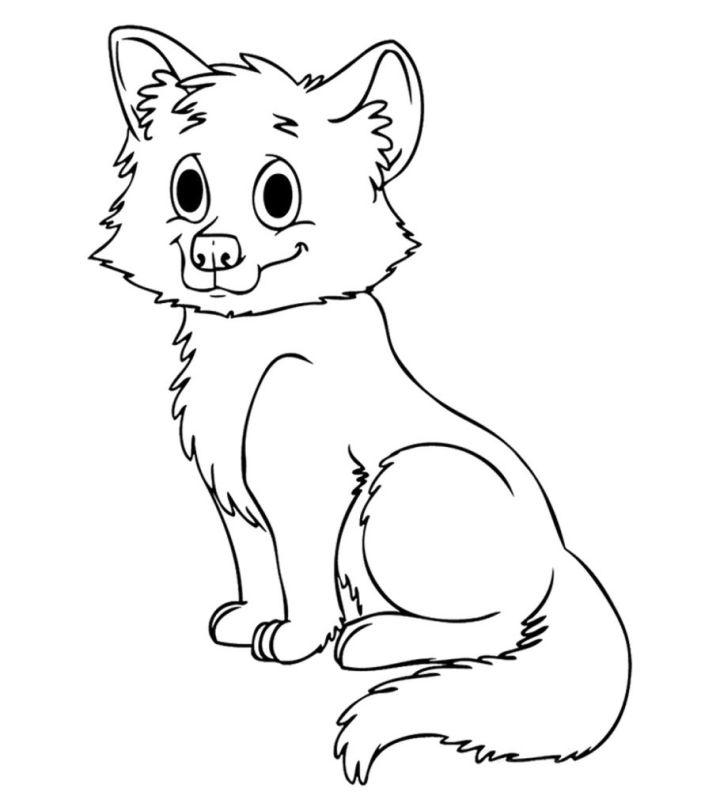 Baby Wolf Coloring Pages and Activities