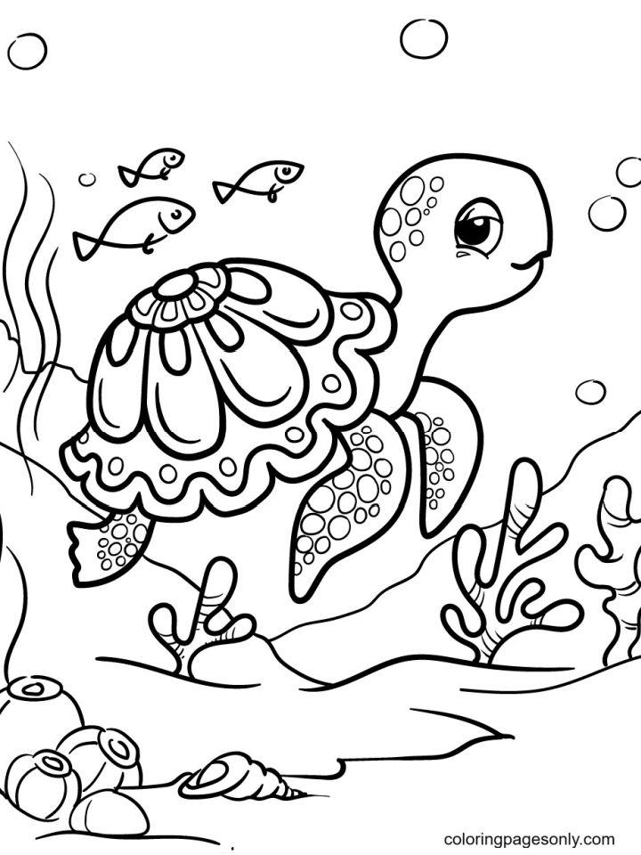 Beautiful Turtle Coloring Pages