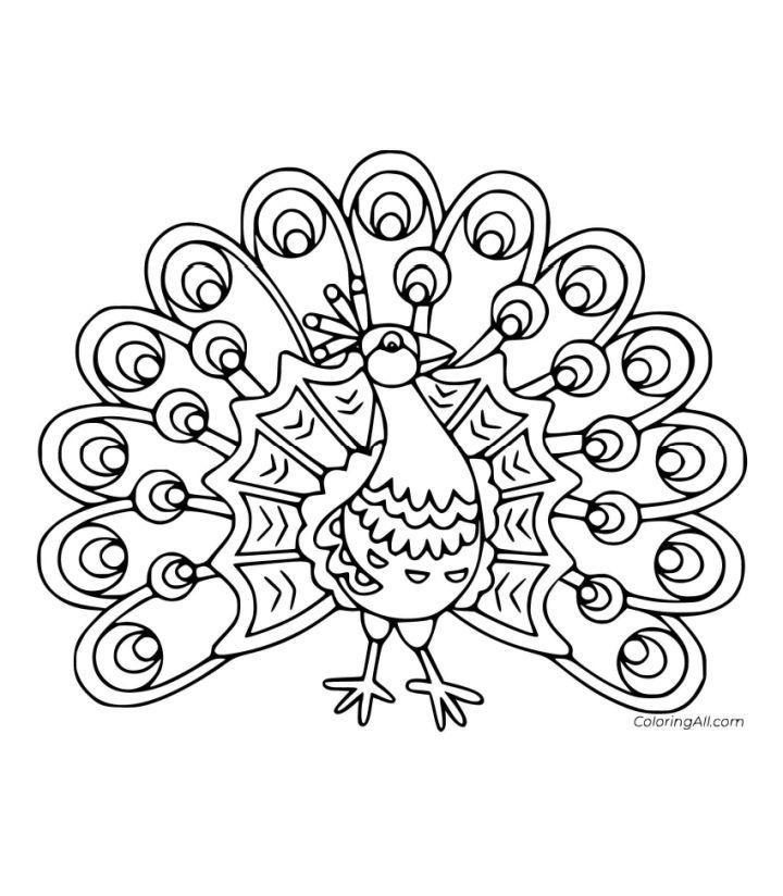 Blue Peacock Spreads Its Tail Coloring Page