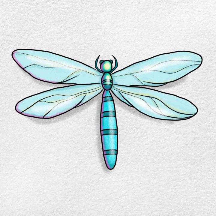 Colorful Dragonfly Drawing