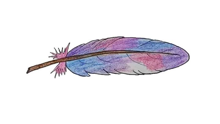 Colorful Feather Drawing for Children