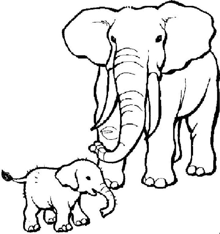 Coloring Page of Elephant