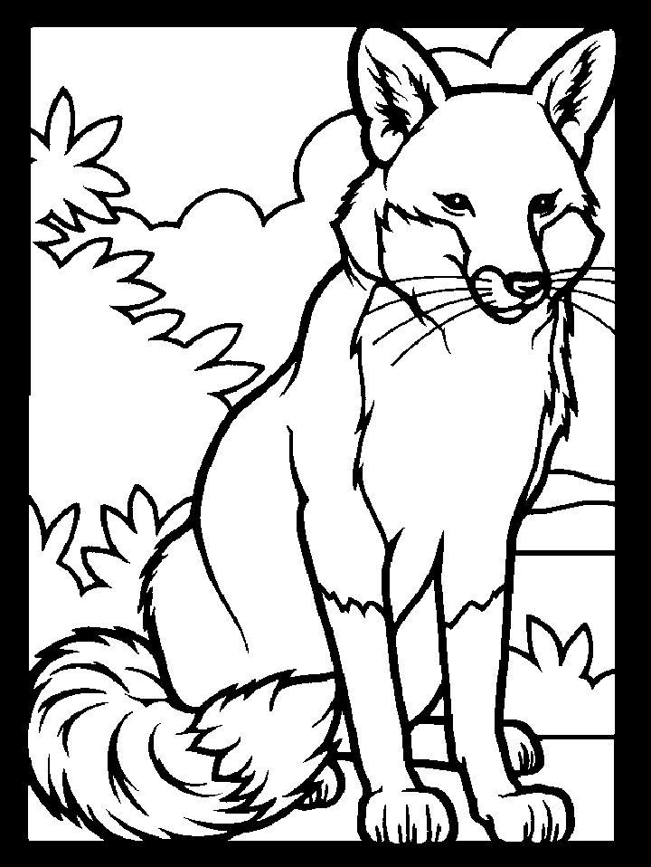Coloring Pages of Foxes