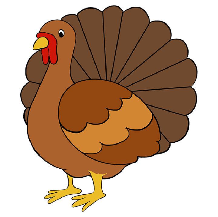 Create a Wonderful Turkey Drawing