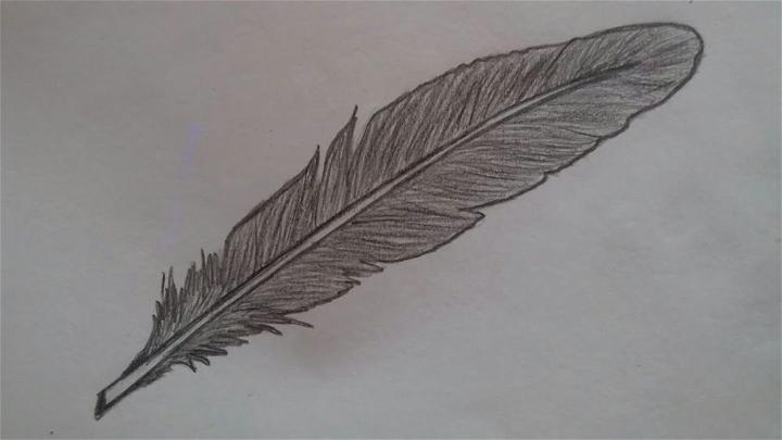 25 Easy Feather Drawing Ideas - How to Draw a Feather