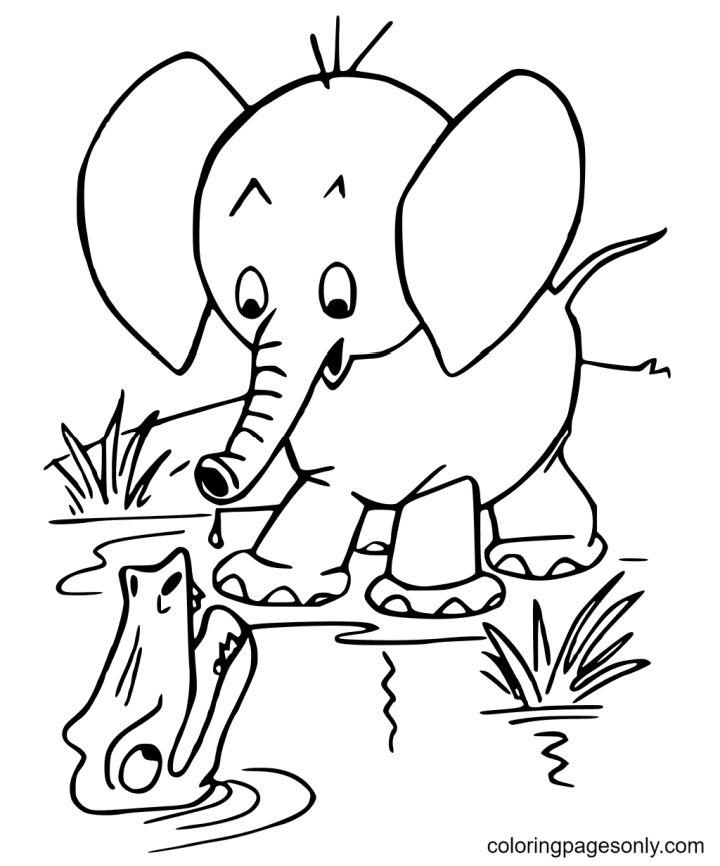 Cute Elephant Coloring Sheets