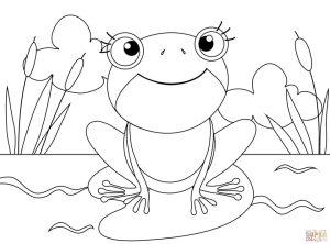 25 Free Frog Coloring Pages for Kids and Adults