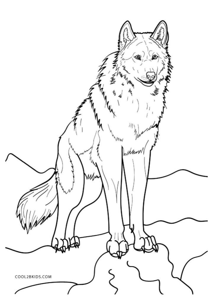 Cute Grey Wolf Coloring Pages