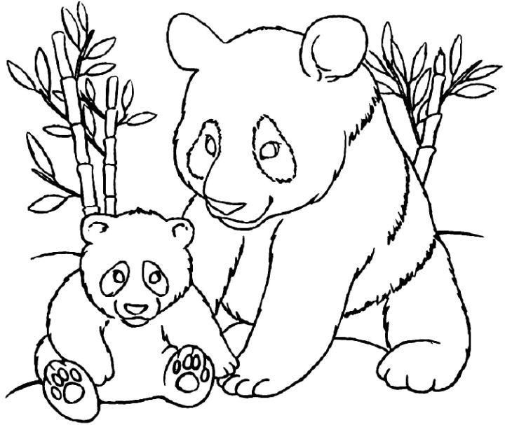 Cute Pandas Coloring Page to Download