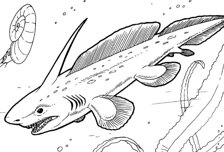 Cute Prehistoric Shark Coloring Page