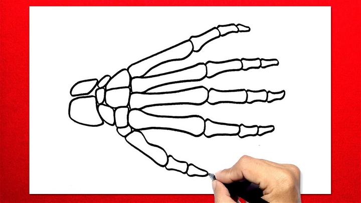 Cute Skeleton Hand Drawing 