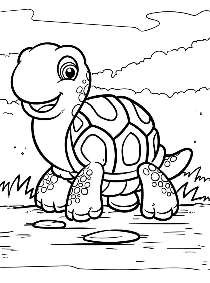 Cute Turtle Coloring Pages