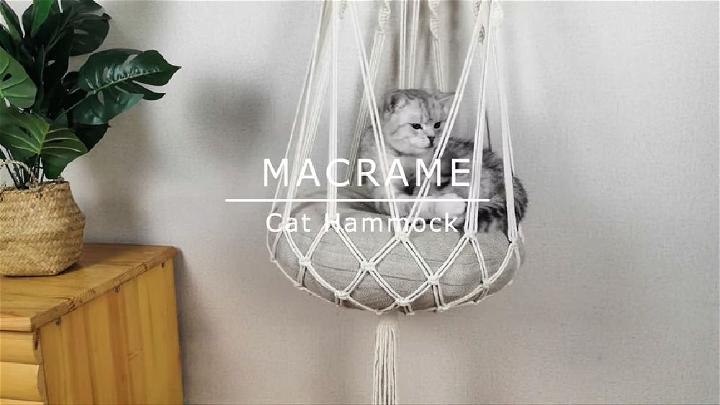 DIY Kitten Macrame Hanging Bed