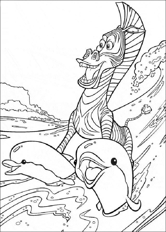 Dolphin Coloring Book Page