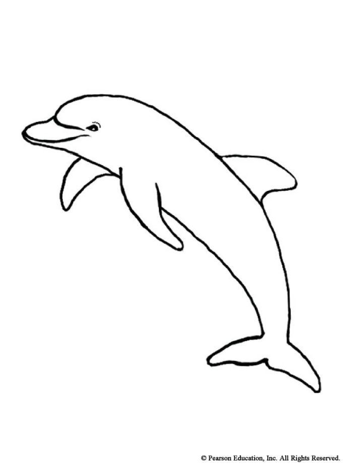 Dolphin Coloring Page for Toddlers