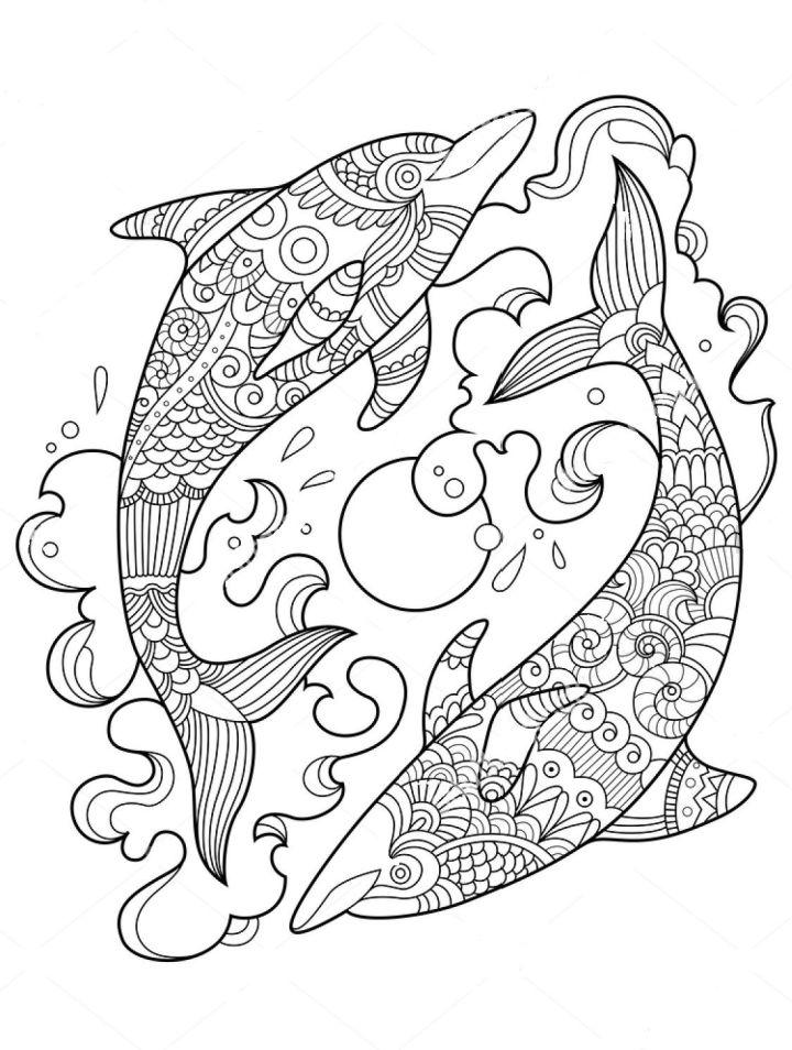 Dolphin Coloring Pages and Printables