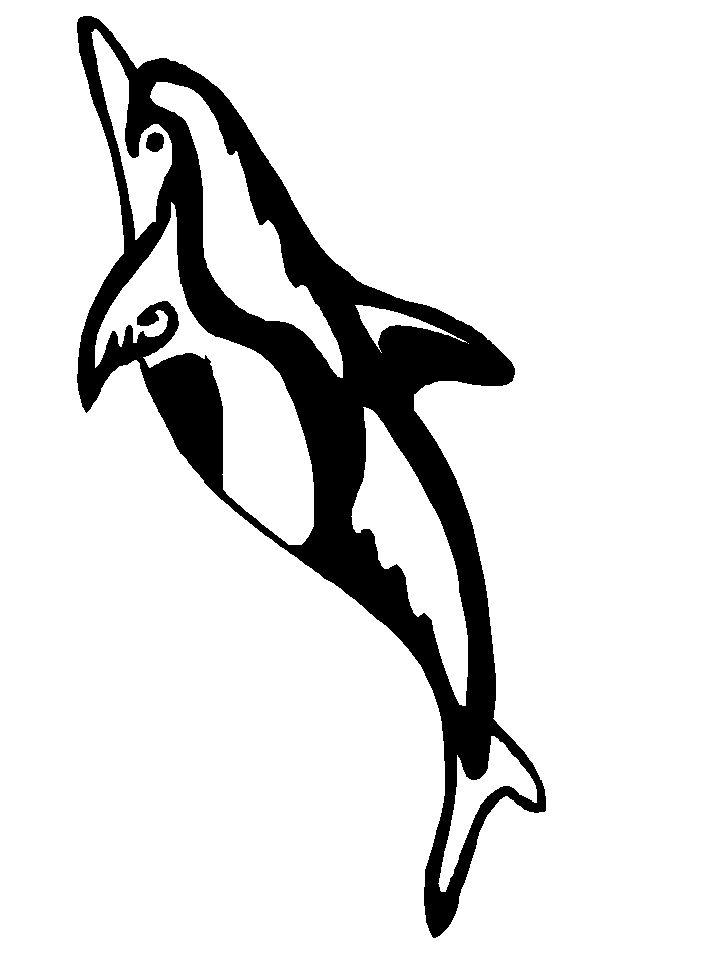 Dolphin Pictures to Print and Color