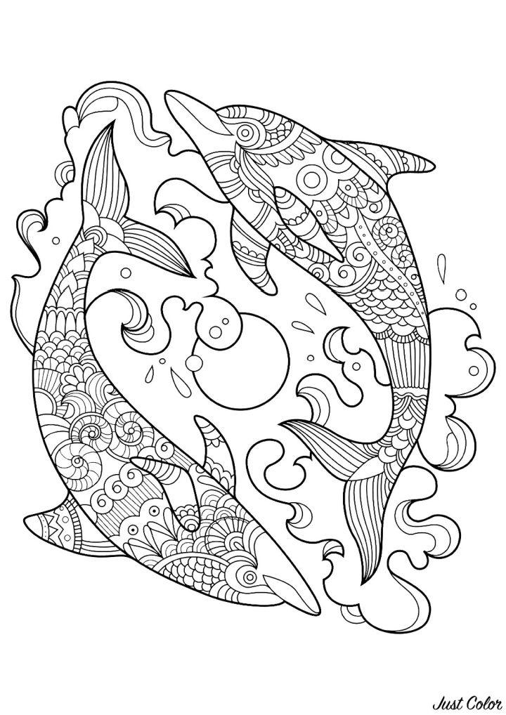 Dolphins Coloring Pages for Kids