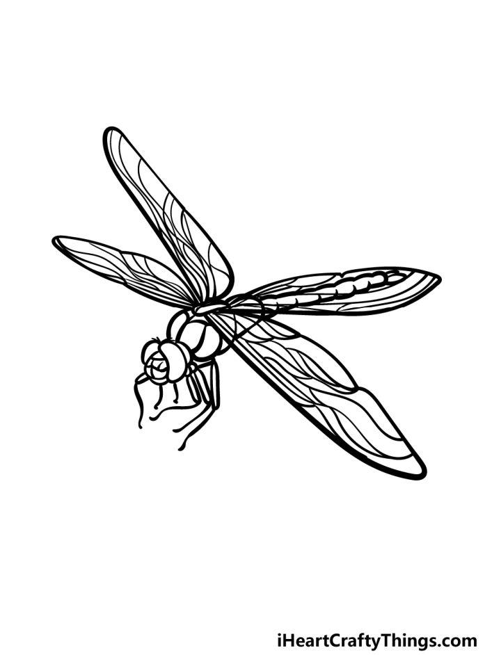 Dragonfly Drawing Step by Step Guide
