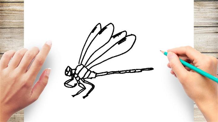 Dragonfly Drawing for Beginners