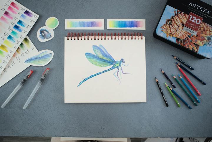 Dragonfly Drawing in Just 6 Steps
