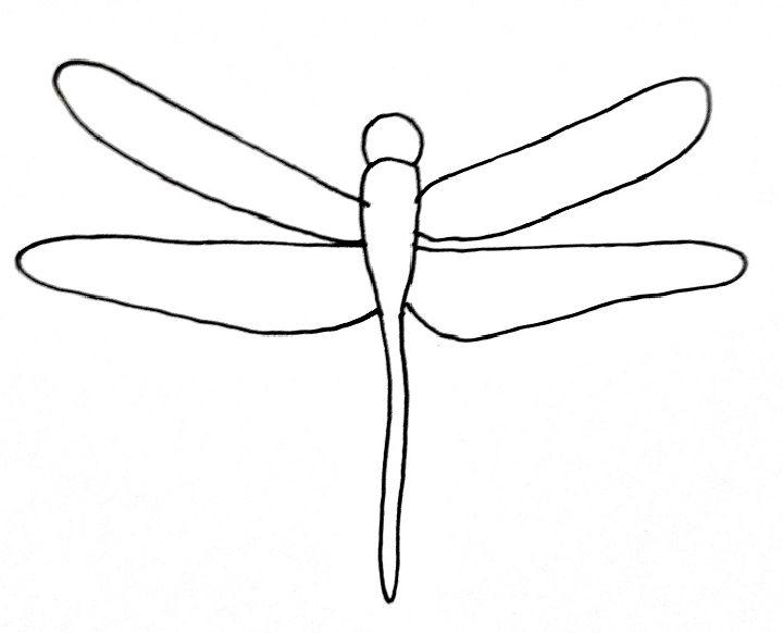 Dragonfly Line Drawing