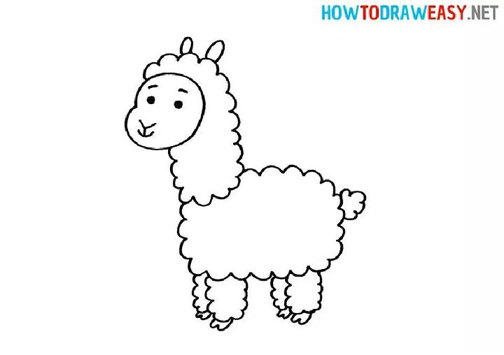 Draw a Llama for Kids