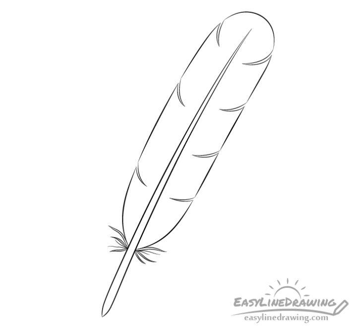 25 Easy Feather Drawing Ideas  How to Draw a Feather