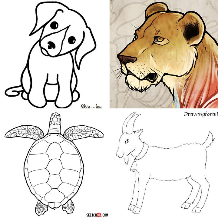 20 easy animals to draw | Gathered