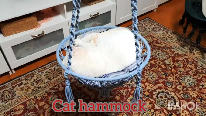 Easy DIY Macrame Cat Hammock