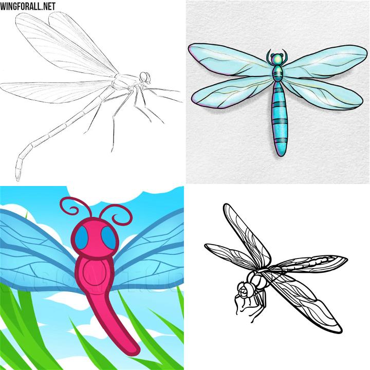 simple dragonfly drawings