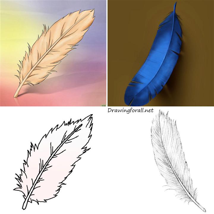 25 Easy Feather Drawing Ideas - How to Draw a Feather