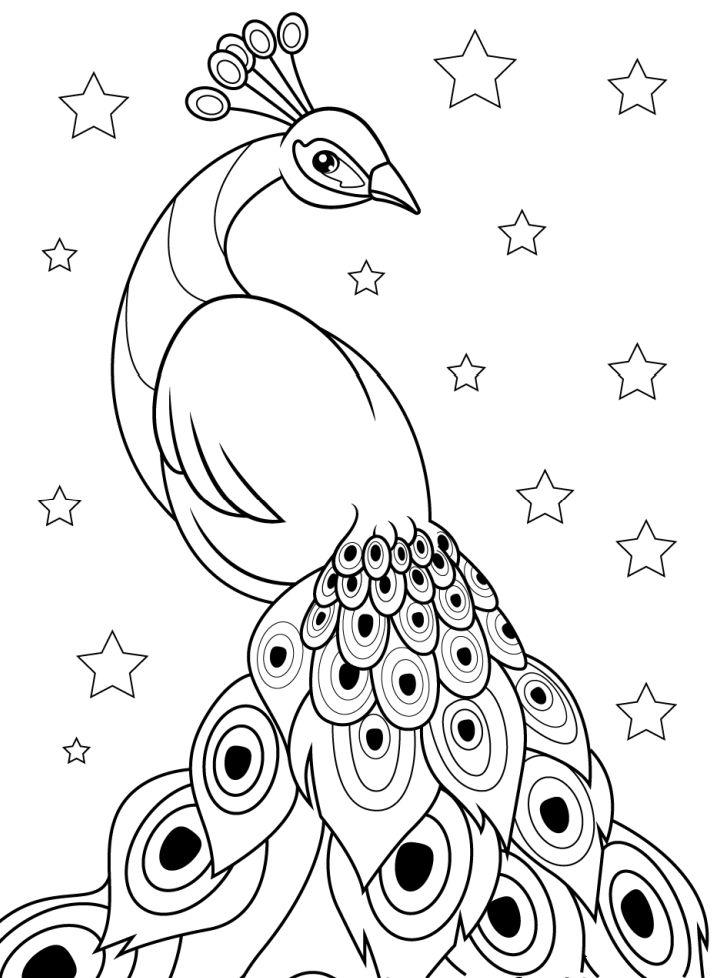 Easy Peacock Coloring Pages