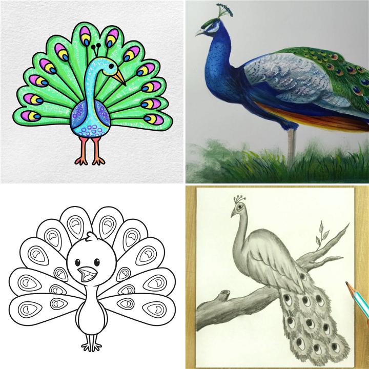 Easy way to draw a peacock feather 🪶 | TikTok-saigonsouth.com.vn