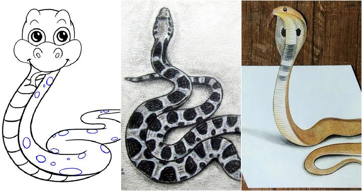 Easy Snake Drawing Ideas Tutorials
