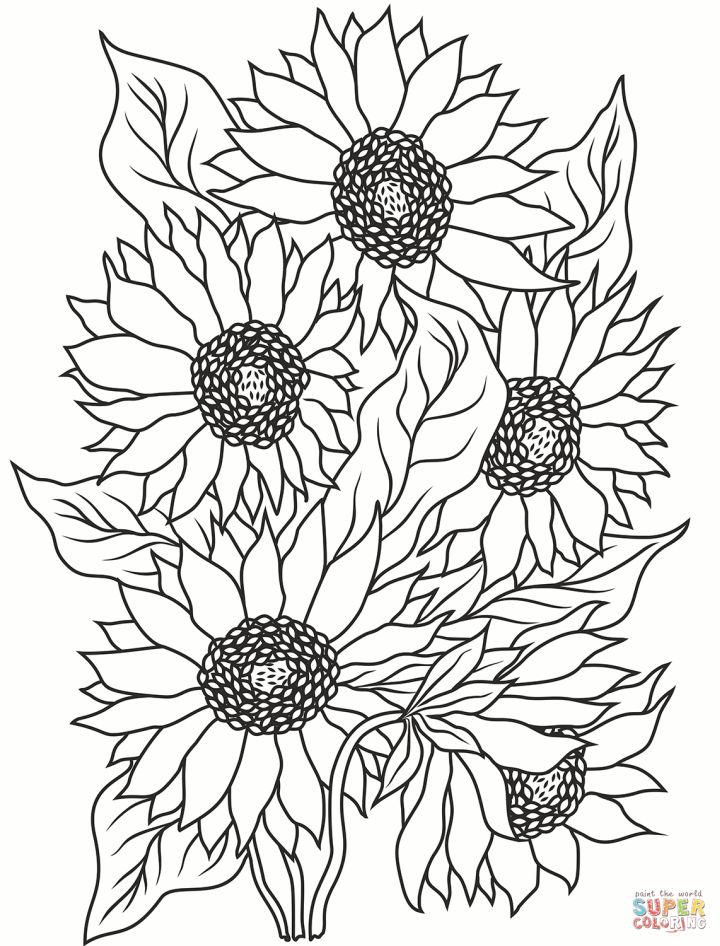 Easy Sunflower Coloring Sheet