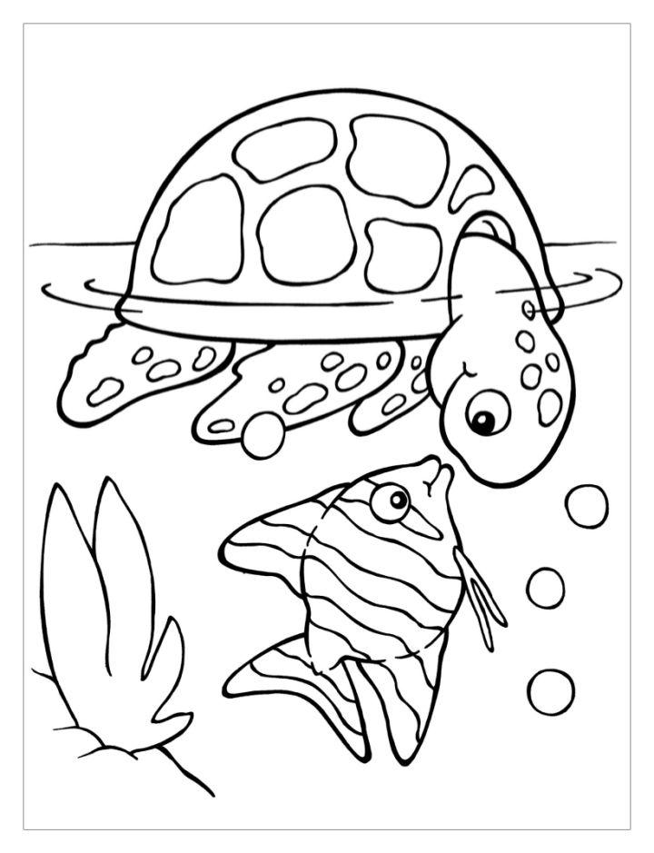 Easy Turtles Coloring Page to Download