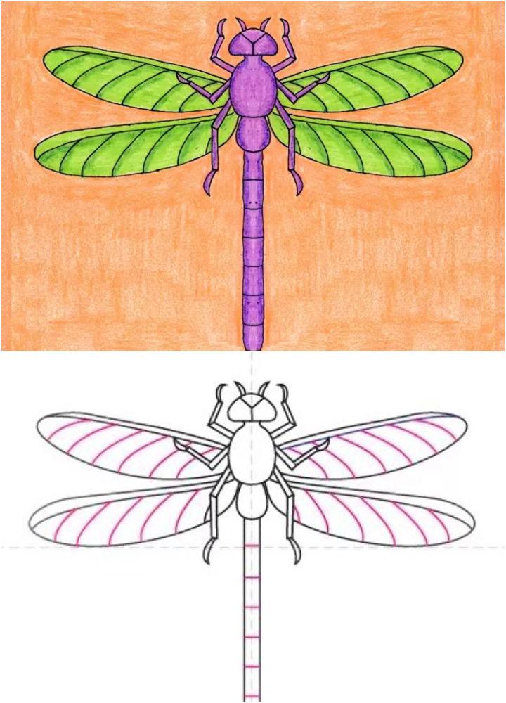 Easy Way to Draw a Dragonfly